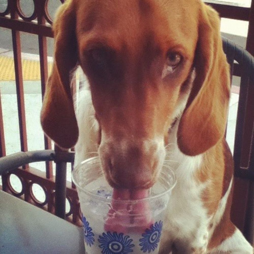 Meet your Posher, Gabe